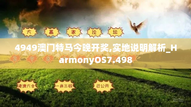 4949澳门特马今晚开奖,实地说明解析_HarmonyOS7.498