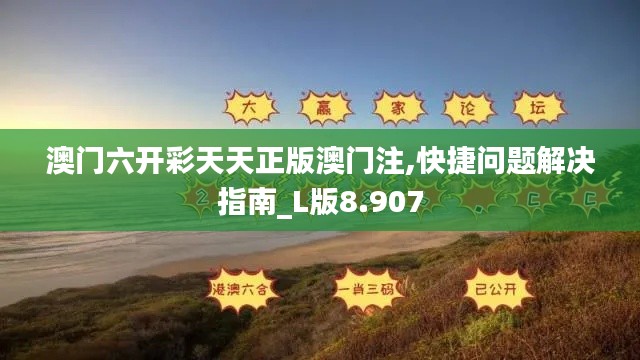 澳门六开彩天天正版澳门注,快捷问题解决指南_L版8.907