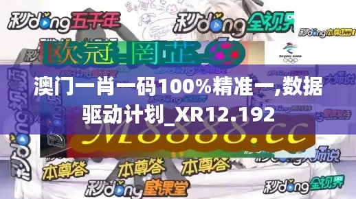 澳门一肖一码100%精准一,数据驱动计划_XR12.192