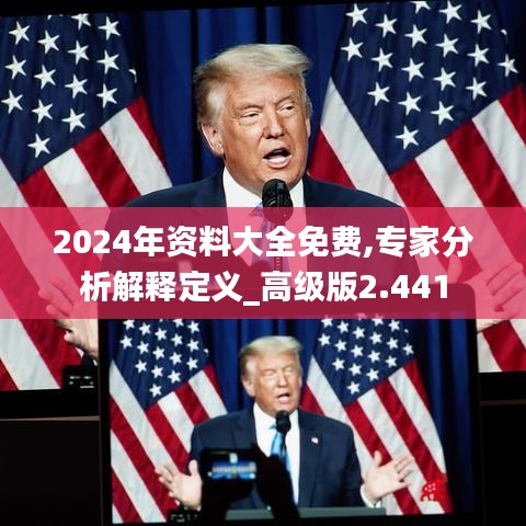 2024年资料大全免费,专家分析解释定义_高级版2.441