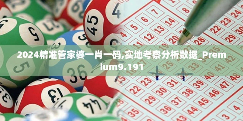 2024精准管家婆一肖一码,实地考察分析数据_Premium9.191