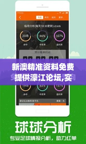 新澳精准资料免费提供濠江论坛,实践性策略实施_高级版5.250