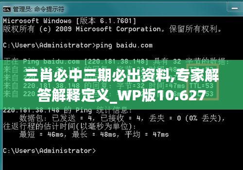 三肖必中三期必出资料,专家解答解释定义_WP版10.627