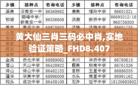 黄大仙三肖三码必中肖,实地验证策略_FHD8.407