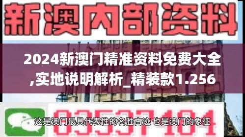 2024新澳门精准资料免费大全,实地说明解析_精装款1.256