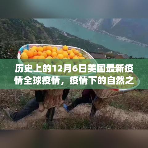 美国疫情下的自然之旅，探寻美景与内心力量，全球疫情最新动态回顾（历史篇）