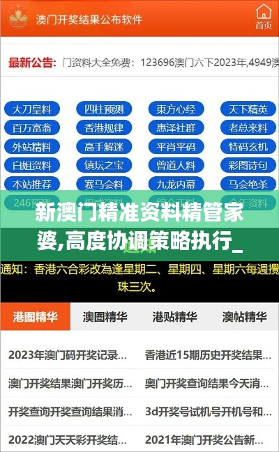 新澳门精准资料精管家婆,高度协调策略执行_8DM9.804