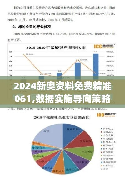 2024新奥资料免费精准061,数据实施导向策略_L版4.777