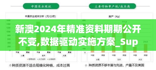 新澳2024年精准资料期期公开不变,数据驱动实施方案_Superior6.373