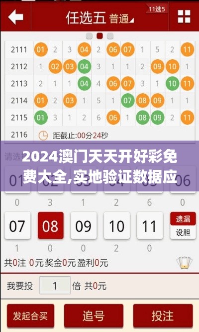 2024澳门天天开好彩免费大全,实地验证数据应用_PalmOS5.490