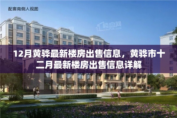 黄骅市最新楼房出售信息详解，十二月最新房源一览