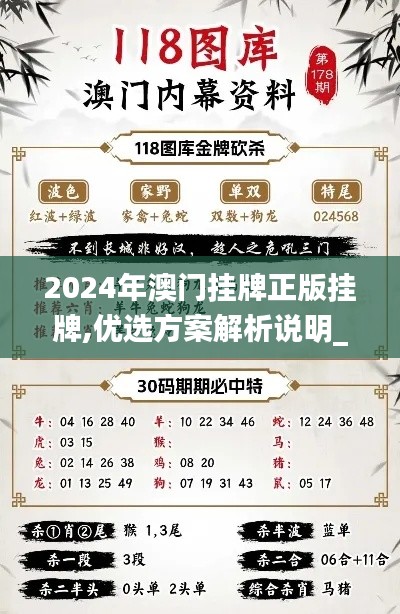 2024年澳门挂牌正版挂牌,优选方案解析说明_1080p6.119