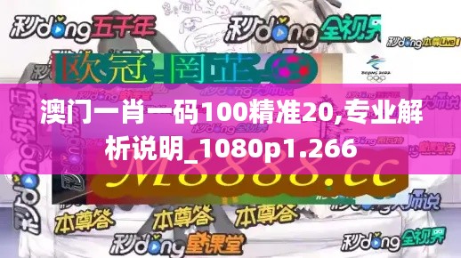 澳门一肖一码100精准20,专业解析说明_1080p1.266