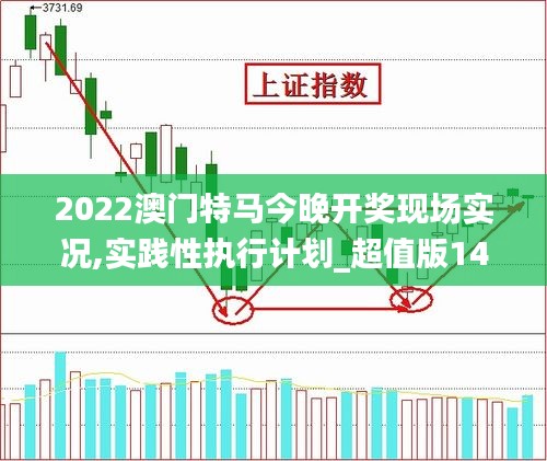 2022澳门特马今晚开奖现场实况,实践性执行计划_超值版14.232