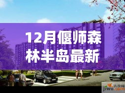 揭秘十二月偃师森林半岛最新动态与信息速递