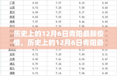 历史上的12月6日青阳疫情状况及应对指南，最新疫情动态与详细步骤解析
