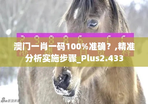 澳门一肖一码100%准确？,精准分析实施步骤_Plus2.433