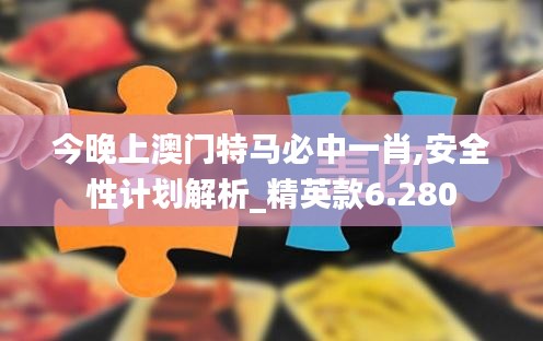 今晚上澳门特马必中一肖,安全性计划解析_精英款6.280