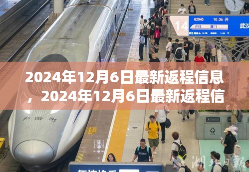 关于探讨某某观点的2024年12月6日最新返程信息深度分析