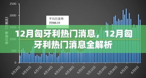 12月匈牙利热门消息全解析与最新资讯速递