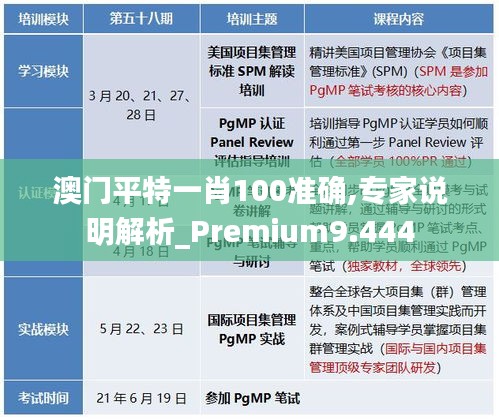 澳门平特一肖100准确,专家说明解析_Premium9.444
