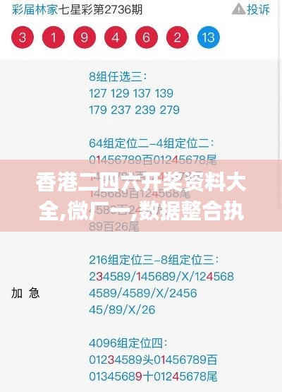 香港二四六开奖资料大全,微厂一,数据整合执行方案_微型版3.502