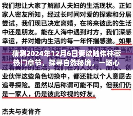 妻欲陆伟林薇的明日探险记，探寻自然秘境的心灵之旅，热门章节预测与期待（2024年12月6日）