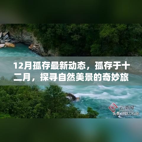 孤存探寻自然美景之旅，十二月启程，寻找内心的宁静与平和