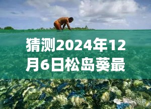 松岛葵心灵之旅，揭秘2024年12月6日奇遇与心灵交融的自然美景