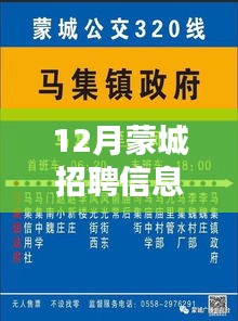 蒙城最新招聘信息汇总，深度测评与全面介绍