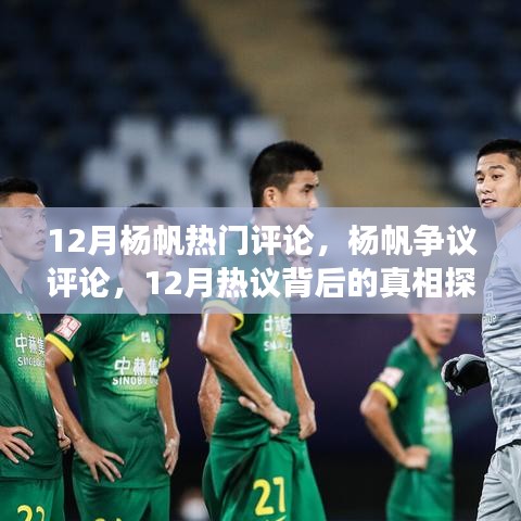 揭秘热议背后真相，杨帆争议评论深度探讨，探寻真相于十二月杨帆评论之中