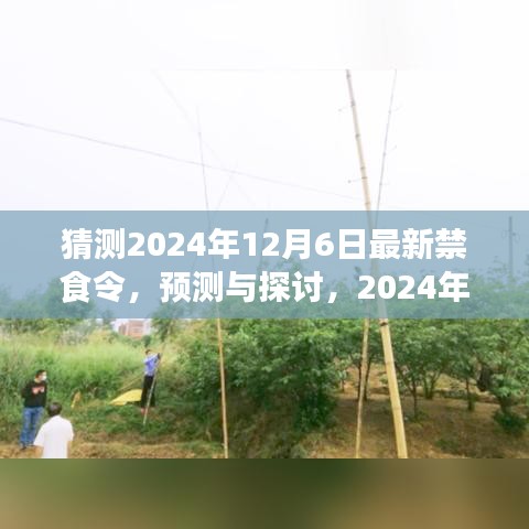 2024年最新禁食令预测与探讨，潜在影响及观点分析