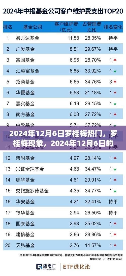 罗桂梅现象，揭秘网络热议背后的故事，深度解读背后的影响力