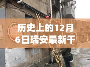 瑞安干部调整日的历史性变革与小巷美食之旅揭秘，美食与历史的交织体验