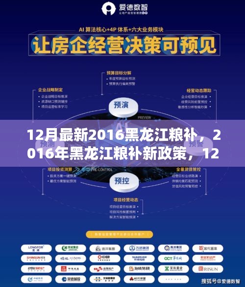 2016年黑龙江粮补最新动态，12月政策更新及影响分析