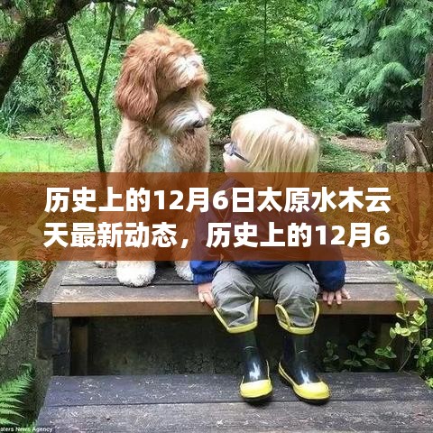 历史上的12月6日太原水木云天最新动态，深度解读与观点阐述