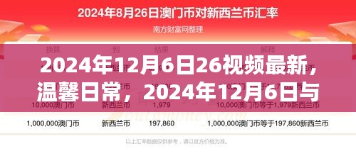 温馨日常，与26视频共度奇妙时光