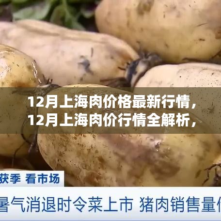 掌握最新行情，12月上海肉价全解析与指导