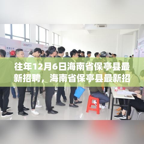 海南省保亭县最新招聘指南，高效参与应聘流程揭秘