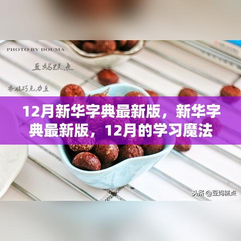 钝学累功 第4页