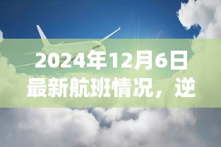 逆风翱翔，2204年12月6日最新航班，自信与成就感的飞跃之旅