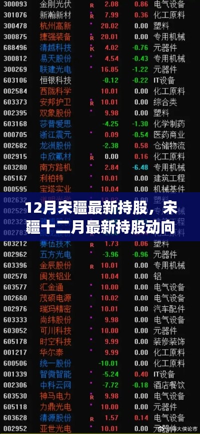 宋疆最新持股动向深度解析，观点与立场明确的观察报告