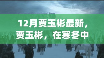 贾玉彬在寒冬中的新篇章，背景深度剖析与事件影响力观察
