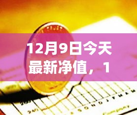 12月9日追寻自然美景之旅，今日净值惊喜，启程内心宁静之旅