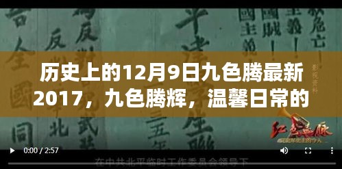 历史上的12月9日九色腾最新2017，九色腾辉，温馨日常的回忆与未来