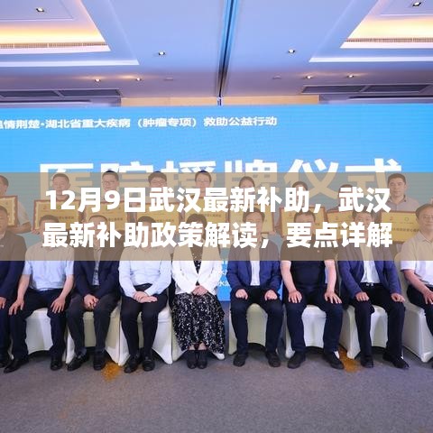 武汉最新补助政策解读，要点详解、影响展望与12月9日最新动态分析