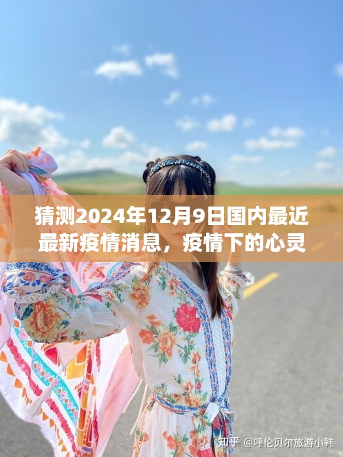 猜测2024年12月9日国内最近最新疫情消息，疫情下的心灵之旅，探寻自然美景，拥抱内心的平静与希望之光