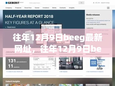 往年12月9日Beeg最新网址回顾与解析，揭秘最新网址动态及功能解析
