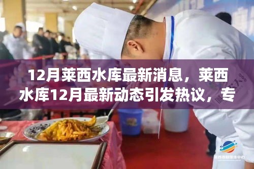 莱西水库12月动态更新，热议中的专家观点与个人立场分析