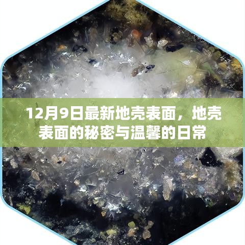 地壳表面最新揭秘，秘密与温馨的日常探索